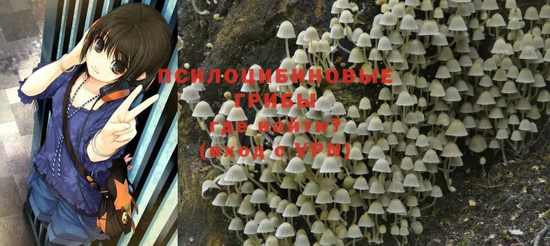 Галлюциногенные грибы Psilocybine cubensis  MEGA ссылка  Барнаул 